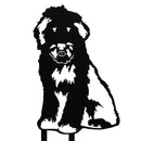 Old English Sheepdog