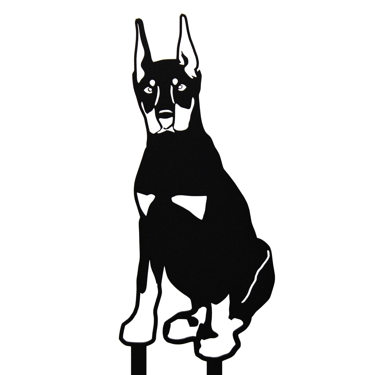 Miniature Pinscher, photo 16 of 16