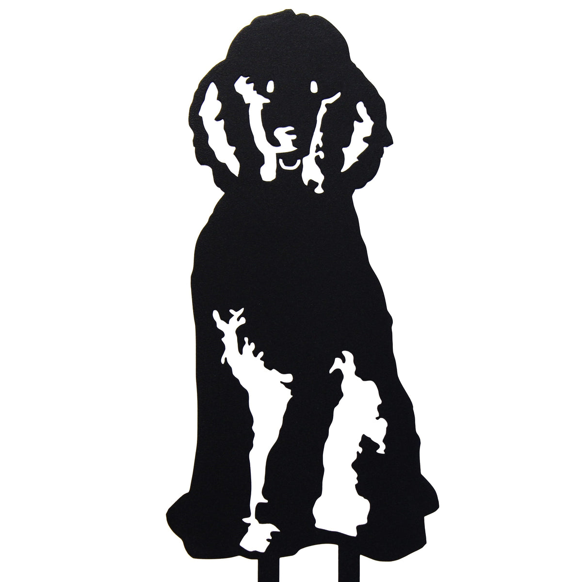 Poodle, photo 22 of 22