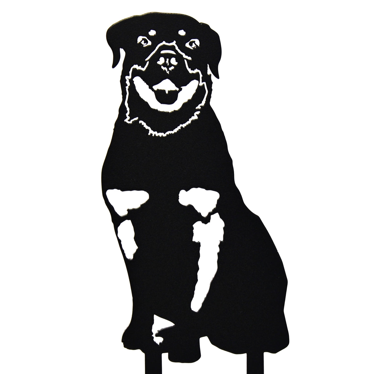Rottweiler, photo 14 of 14