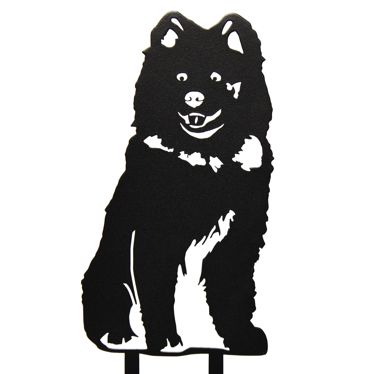 Samoyed, photo 13 of 13