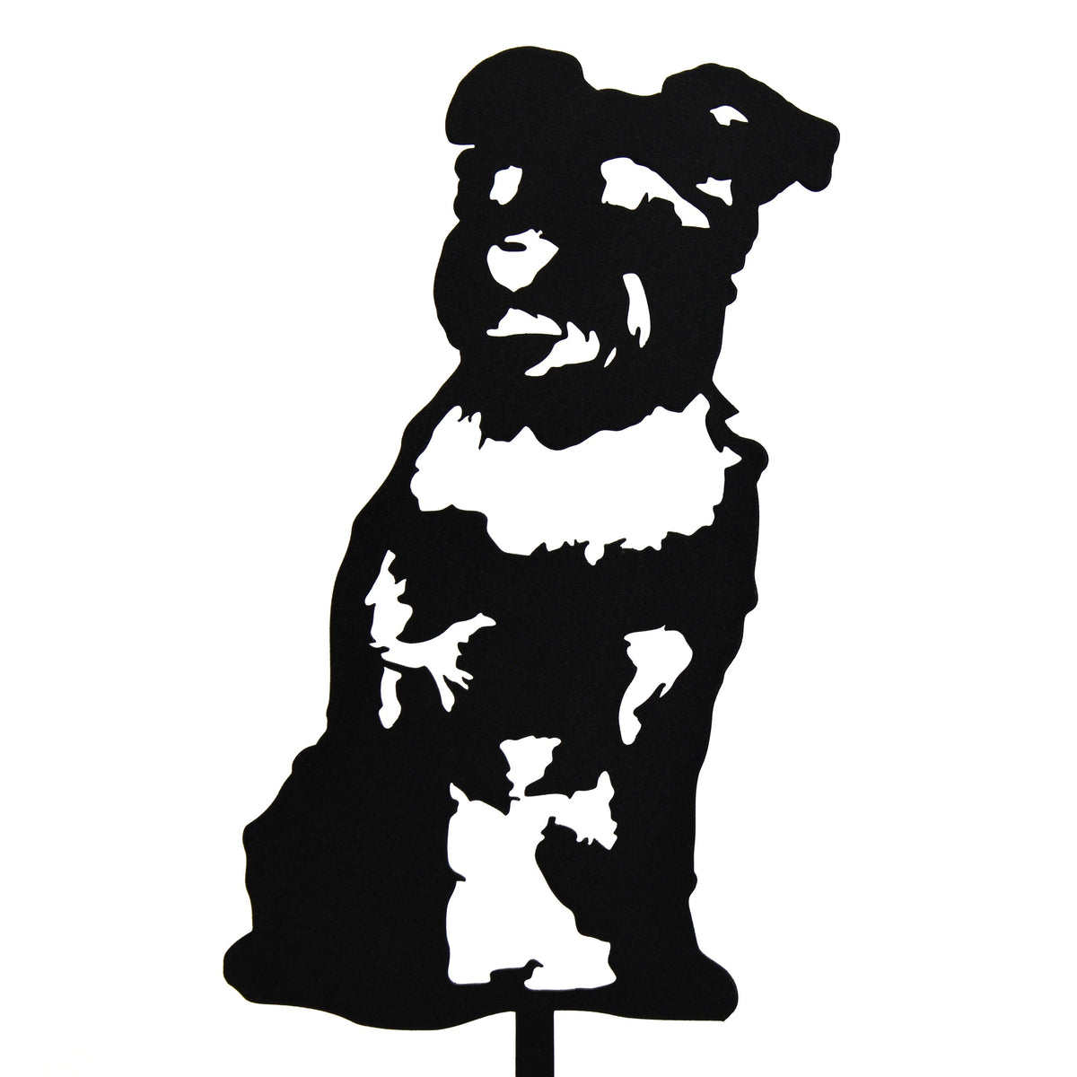Schnauzer, photo 16 of 16