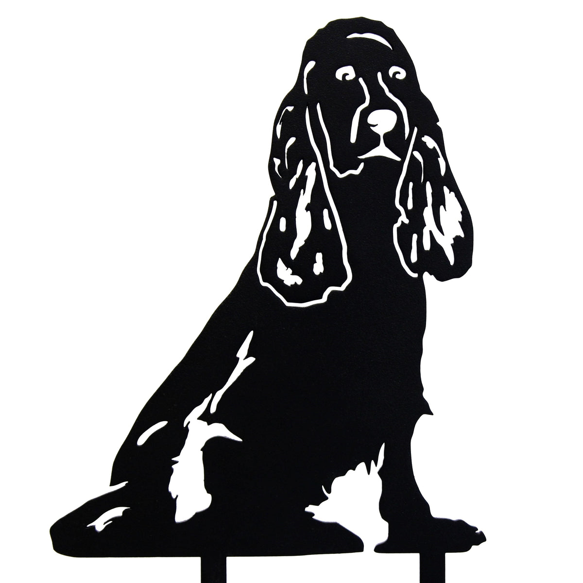 Springer Spaniel, photo 13 of 13