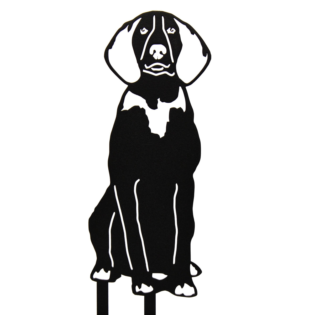 American English Coonhound, photo 17 of 17