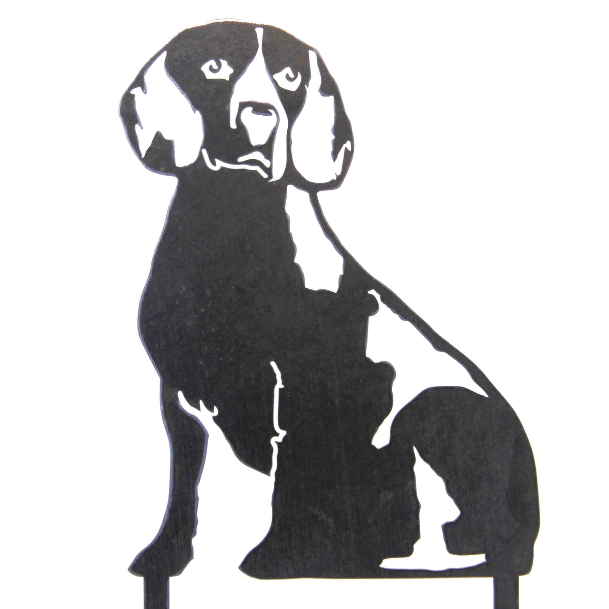 Beagle, photo 16 of 17