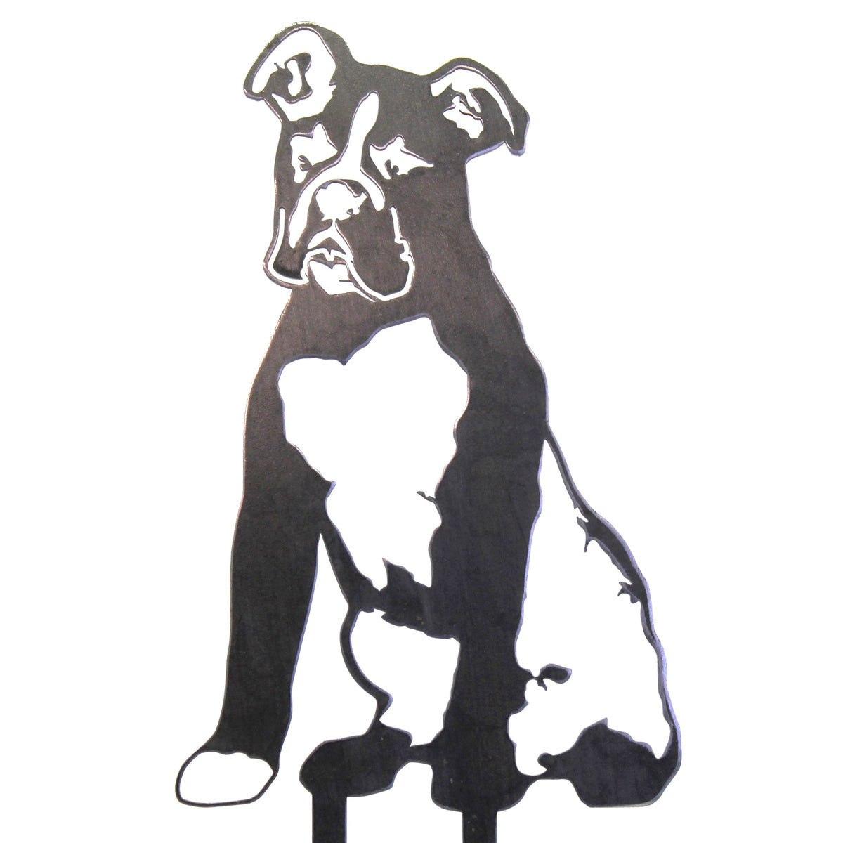 Boxer, photo 15 of 16