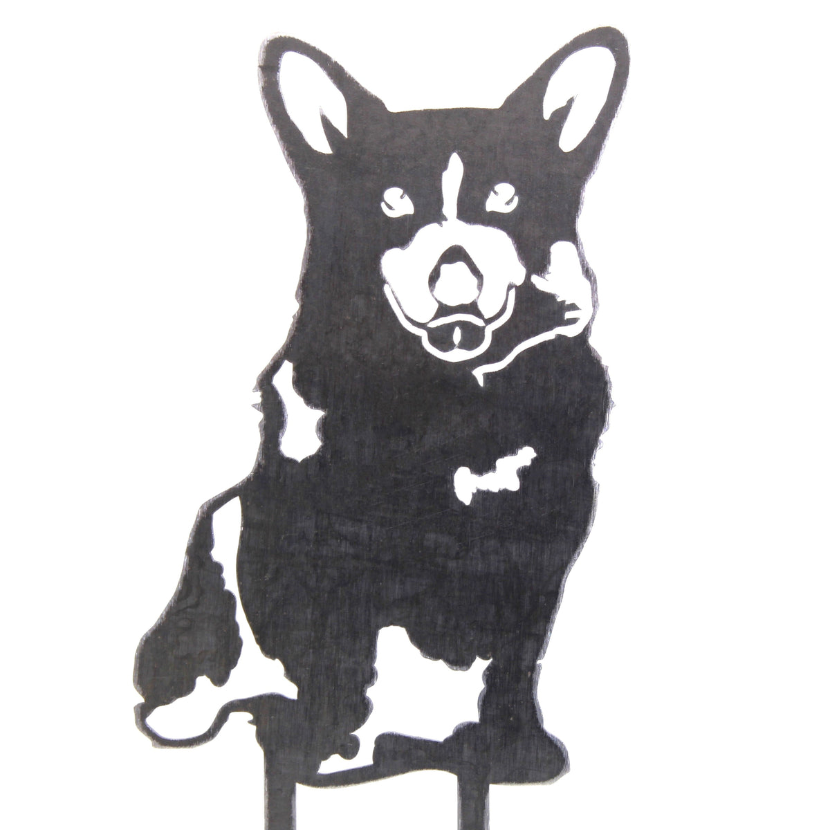 Corgi, photo 14 of 15