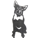 Australian Cattle Dog