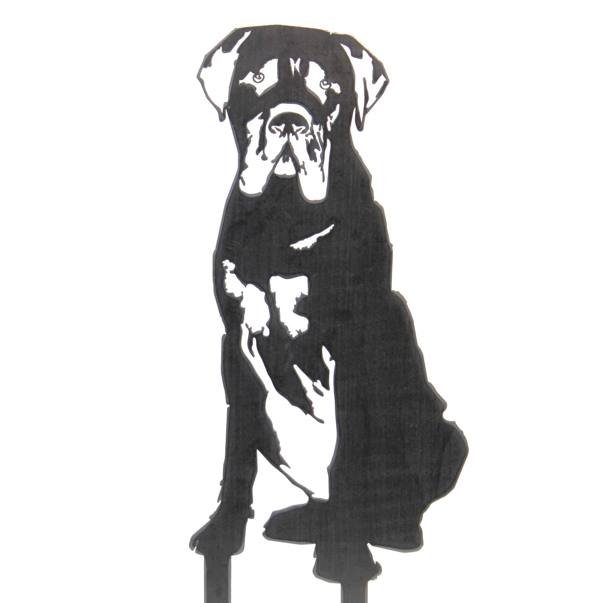 Mastiff, photo 12 of 13