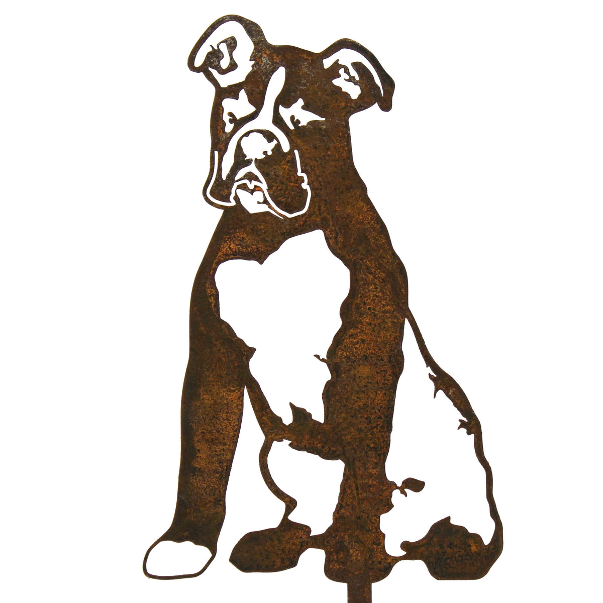 Boxer, photo 14 of 16