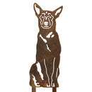 Belgian Malinois