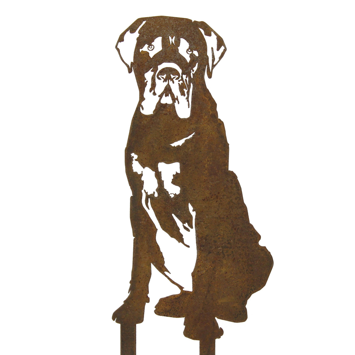 Mastiff, photo 11 of 13