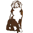 Bernese Mountain Dog