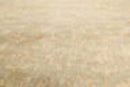 9’ x 12’ Hand Knotted 100% Wool Tibetan Antiqued Area Rug Light Green, Beige