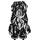 Soft Coated Wheaten Terrier