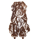 Bouvier Des Flandres
