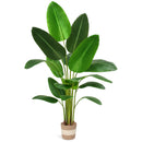 Bird of Paradise Artificial Plant 6 ft Tall Faux Banana Leaf Tree