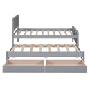 Platform Bed With Trundle And Drawers
