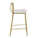 Modern Charlotte - Contemporary Fixed Height Counter Stool (Set of 2) by HouseOfZazla