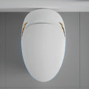 Unique Smart Toilet with Built-in Bidet