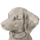 MGO Outdoor Dog Statue, Antique White by HouseOfZazla