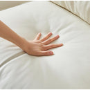 75.6" Pets friendly Leather Rolled Arm Upholstered Loveseat 2-seater Couch with Removable Back Cushion, Modern Couches for Small Spaces Living Room, Bedroom, Apartment, Beige White