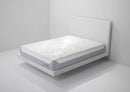 BedGear S5 Performance® Queen Mattress - Medium Comfort by HouseOfZazla