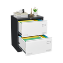 2 Drawer Metal Lateral File Cabinet with Lock,Office Vertical Files Cabinet for Home Office/Legal/Letter/A4,Locking Metal File Cabinet,Assembly Required