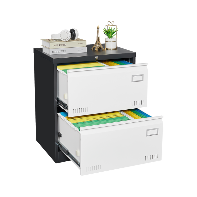 2 Drawer Metal Lateral File Cabinet with Lock,Office Vertical Files Cabinet for Home Office/Legal/Letter/A4,Locking Metal File Cabinet,Assembly Required