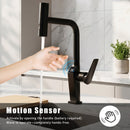 Touchless Matte Kitchen Faucet