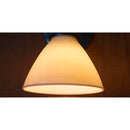 6 Inch Diameter Milky White Reflector-Type IES Replacement Glass Shade for Stiffel