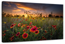 Dawn At Flower Field Wall Art