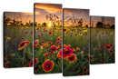 Dawn At Flower Field Wall Art