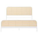 Randall - Bed