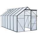 Polycarbonate house Raised Base And Anchor Aluminum Heavy Duty Walk-In houses For Outdoor Backyard In All Season