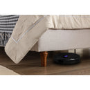 Hayden - Upholstered Wingback Bed With Tall Headboard by HouseOfZazla