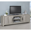 Conifer - TV Stand With Adjustable Shelves - Gray by HouseOfZazla