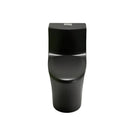 1 Piece Toilet With Dual Flush And Soft Closing Seat by HouseOfZazla