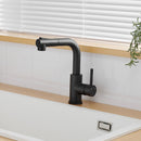Black Kitchen Sink Faucet with Pull Down Sprayer
