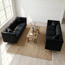 FX-P82-2PC Sofa Set by HouseOfZazla