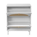 2 Door Shoe Rack, Rattan, Double Layer, Suitable For Living Room, Hallway - White