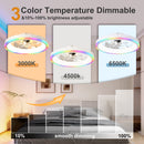 19.7" Modern RGB Ceiling Fan with Lights by HouseOfZazla