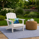 2 Pack Outdoor Lumbar Pillow with Inserts