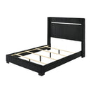 Contemporary Upholstered Bed by HouseOfZazla