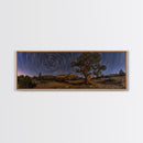 Time Lapse Photography Style Print, Panoramic Wall Art, Starry Night Sky Photo Print, Joshua Tree