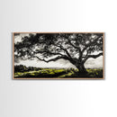 Oak Tree, Scenic Meadow, Black and White Landscape, Framed Canvas Print, Nature Wall Art, Large Canvas Artwork, Living Room Decor
