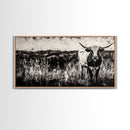 Texas Longhorn, Rustic Farmhouse, Black and White Western Art, Framed Canvas Print, Country Home Decor, Rustic Living Room Wall Art
