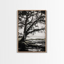 Tree Silhouette, Black White Art, Canvas Print, Dramatic Landscape, Coastal Wall Art, Nature Scene, Monochrome Decor, Minimalist Art