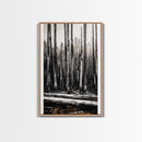 Forest Landscape, Black and White Tree Art, Moody Woodland Scene, Rustic Nature Wall Decor, Cabin Home Artwork, Framed Canvas Print
