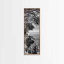 Mangrove Shoreline, Tree Reflections, Still Waters, Tranquil Escape, Black White Nature Framed Canvas Print, Zen Wall Art Entryway Decor